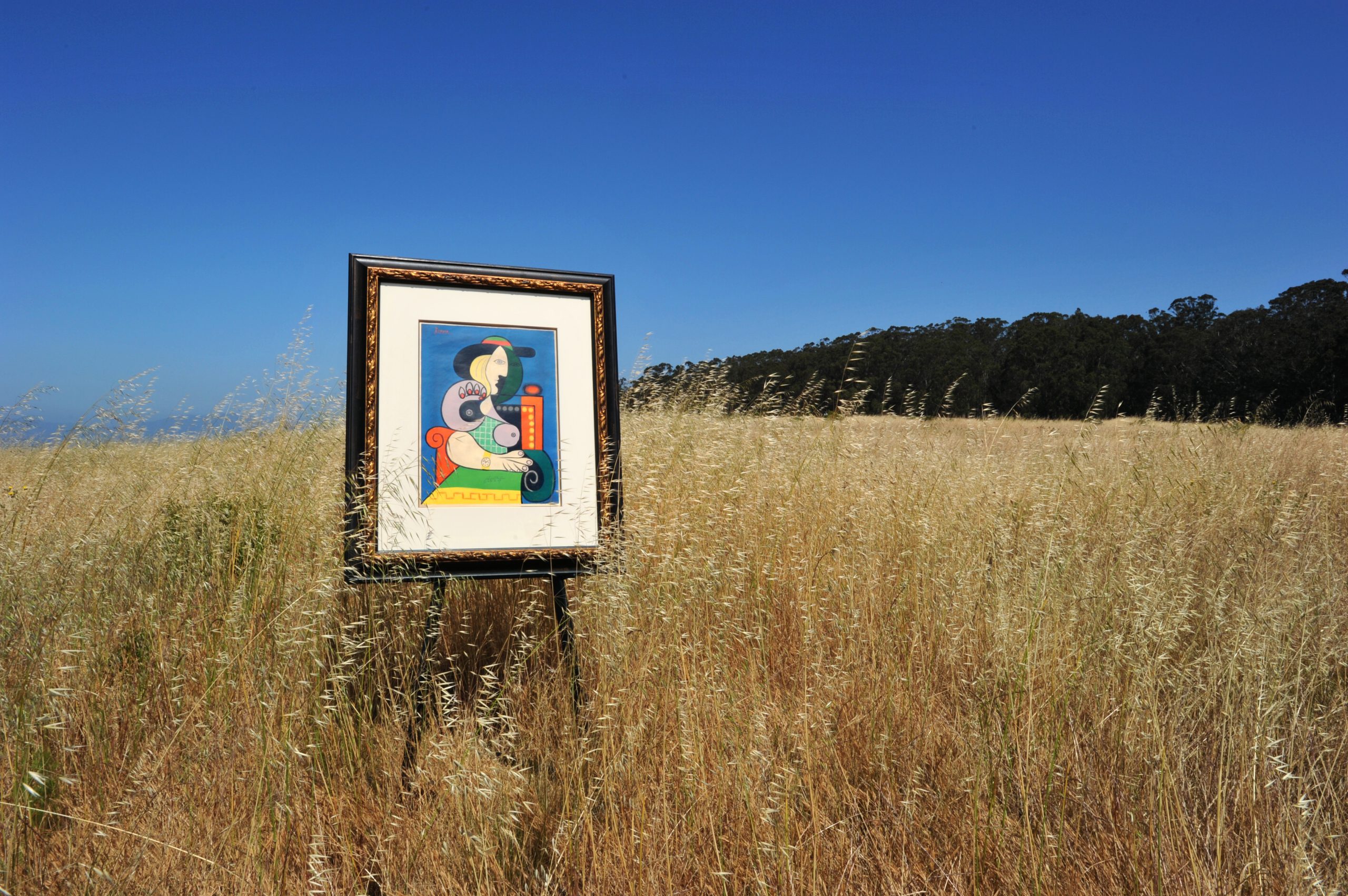 Discover Your Inner Collector